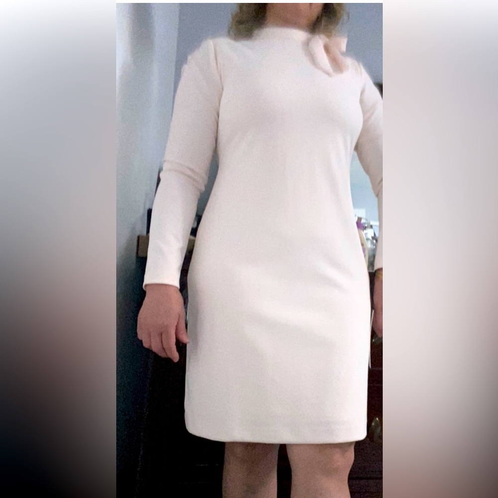 Calvin Klein Women Dress size 10